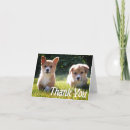 Search for corgi thank you cards Puppy