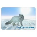 Recherche de renard arctique magnets Alaska