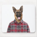 Recherche de chien berger allemand noir tapis souris Animal