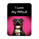 Search for pitbulls magnets Pittie