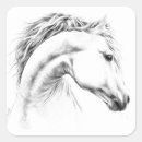 Search for equestrian stickers Equine
