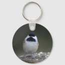 Search for chickadees keychains Cute