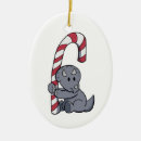 Recherche de triceratops ornements Noël