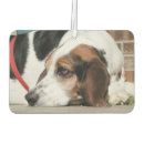 Recherche de canines voiture accessoires Amoureux des chiens