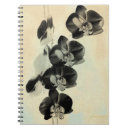 Search for orchid notebooks Botanical