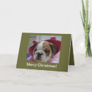 Search for english bulldog christmas cards Puppy