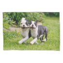 Search for funny dog pillowcases Puppy