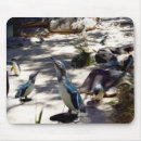 Recherche de volée électronique Oiseau