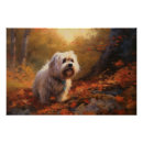 Search for tibetan terrier posters Pet