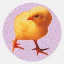 Search for hatching stickers Yellow