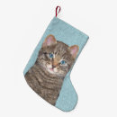 Search for grey cat christmas stockings Kitten