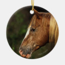 Search for appaloosa horse ornaments Headshot
