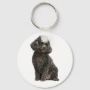 Search for poodle dog keychains Puppy