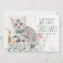 Search for american shorthair cards Animal