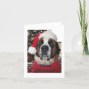 Search for st bernard christmas cards Santa