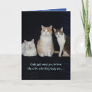 Search for humor halloween cards Cat