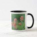 Search for indian paintbrush mugs Green