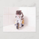 Search for daddys boy postcards Men