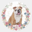 Search for pastel spring flowers stickers Wreath