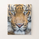 Recherche de tiger puzzles Nature
