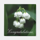 Recherche de plantes vertes magnets Printemps