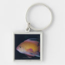 Search for crimson keychains Animals
