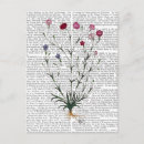 Search for carnation postcards Contemporary