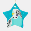 Search for parakeet ornaments Cute