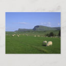 Search for isle postcards Quiraing