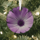 Search for daisy flower ornaments Petals