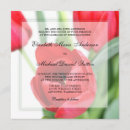 Recherche de tulipes rouges invitations Fleurs
