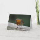 Search for robin birthday cards Bird