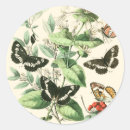 Search for butterflies flowers stickers Garden