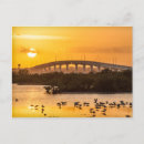 Search for bird silhouette postcards Nature
