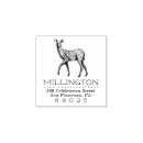 Search for deer rubber stamps Create your own