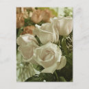 Search for vintage spring flowers postcards Roses