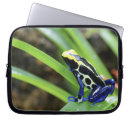 Search for darts cases Wildlife