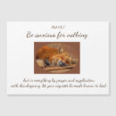Search for peace rectangular magnets Fox