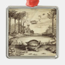 Search for insects ornaments Life