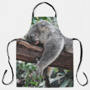Recherche de koala tabliers Nature