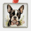 Search for boston ornaments Black