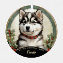 Search for alaskan malamute ornaments Puppy