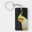 Recherche de cockatiel porteclés Animal familier