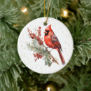Search for cardinal bird christmas decor Winter birds