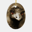 Search for ostrich ornaments Funny