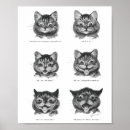 Search for kitty face posters Feline