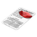 Recherche de boissons magnets Martini