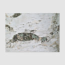 Search for birch tissue paper Green