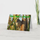 Search for marshes Wildlife photography