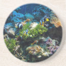 Search for coral reef coasters Marine life